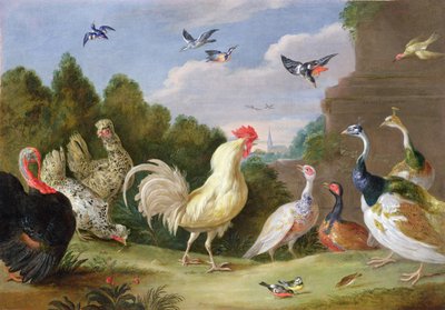 Paysage boisé avec un coq, une dinde, des poules et d