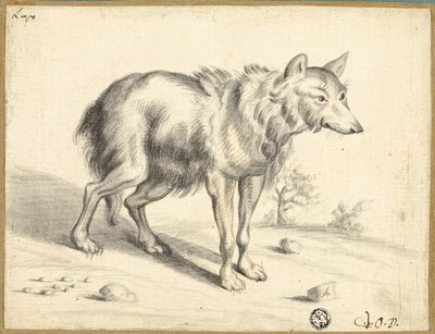 Loup - Jan van Os