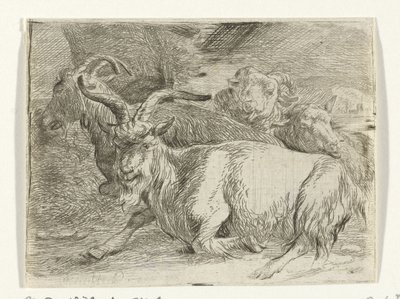 Deux chèvres et deux moutons - Jan van Ossenbeeck