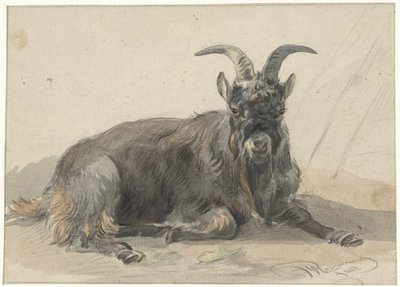 Bouquetin noir couché - Jan van Ravenswaay