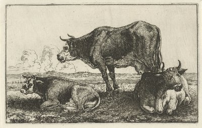 Trois vaches Animaux (titre de la série) Zoographiam (titre de la série) - Jan van den Hecke