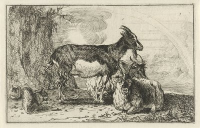 Chèvres - Jan van den Hecke