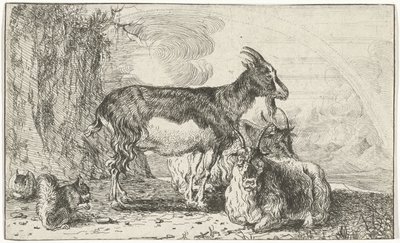 Chèvres - Jan van den Hecke