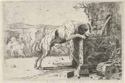 Chien près d