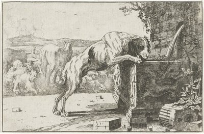 Chien près d