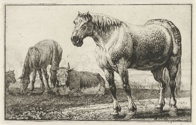 Chevaux et vaches (Dieren, Zoographiam) - Jan van den Hecke