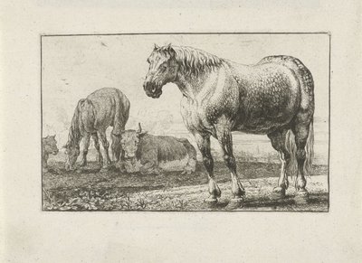 Chevaux et vaches - Jan van den Hecke