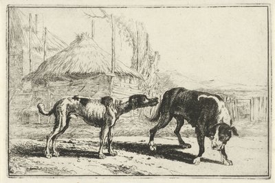 Reu en teef - Jan van den Hecke