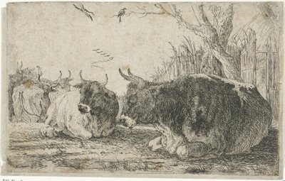 Vaches au repos (Dieren, Zoographiam) - Jan van den Hecke