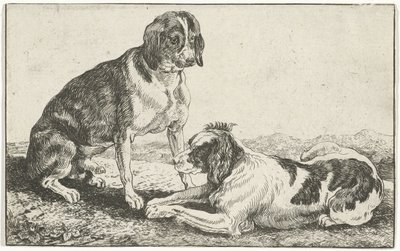 Deux chiens au repos - Jan van den Hecke