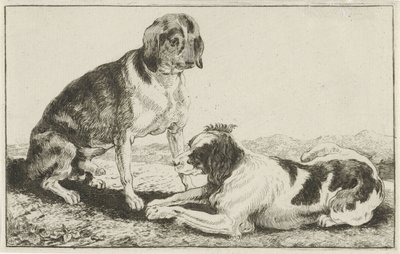 Deux chiens au repos - Jan van den Hecke