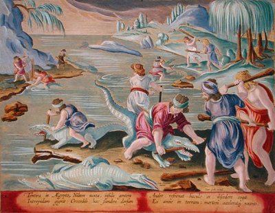 Tuer des crocodiles avec des bâtons et des massues (pl. 88 de 