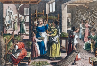 Production de soie en Europe au XVIe siècle - Jan van der (1523 1605) (after) Straet