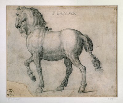 Étude pour un cheval des Flandres - Jan van der Straet