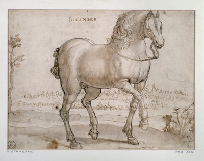 Étude pour un cheval sicambre - Jan van der Straet