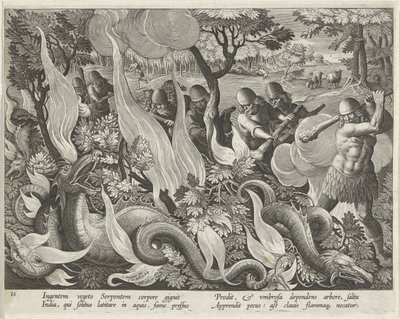 Capture de serpents en Inde utilisant des bâtons et des torches pour éclairer la broussaille, planche 44 de Venationes Ferarum, Avium, Piscium (De la chasse: bêtes sauvages, oiseaux, poissons) pub. 1640 - Jan van der 1523 1605 Straet
