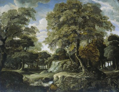 Vue dans les bois - Jan van der Heyden