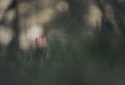  - Jan van der Linden