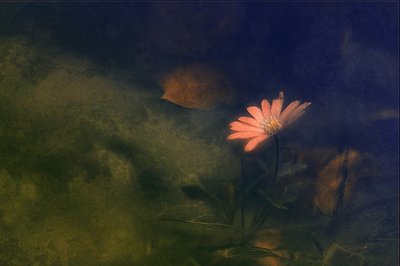  - Jan van der Linden