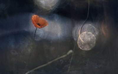  - Jan van der Linden