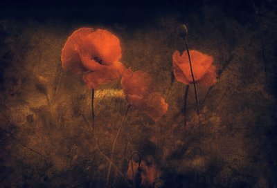  - Jan van der Linden