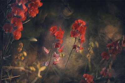  - Jan van der Linden