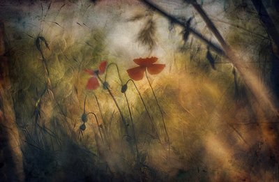  - Jan van der Linden