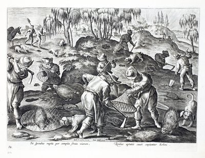 Extraction et capture de porcs-épics, planche 54, illustration de 