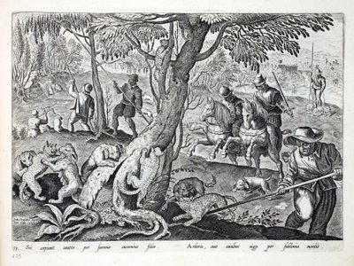 Chasse aux chats avec des chiens, illustration de 