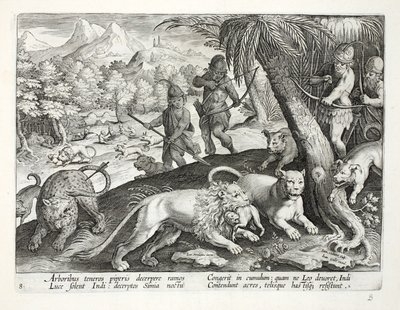 Les Indiens tirent des flèches sur des lions qui ont capturé des singes dans leur bouche, illustration de 