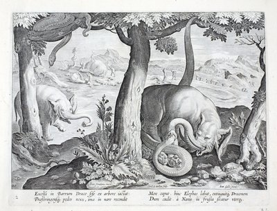 Serpent utilisé dans la chasse à l