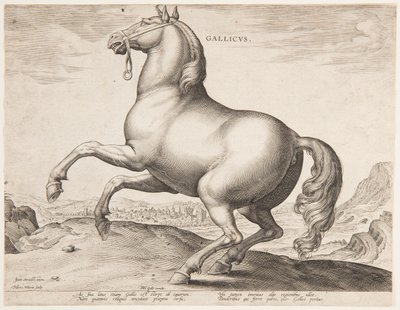 Un cheval français, du premier ensemble de "Equile Joannis Austriaci" - Jan van der Straet, called Stradanus