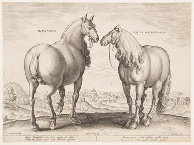 Un cheval romain, du premier ensemble de "Equile Joannis Austriaci" - Jan van der Straet, called Stradanus