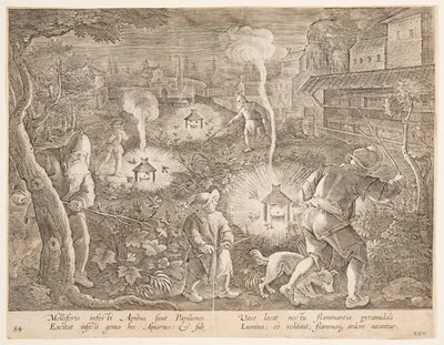Attraper des papillons de nuit, planche 25 de la série Venationes Ferarum, Avium, Piscium - Jan van der Straet, called Stradanus