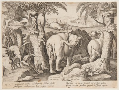 Hommes des cavernes chassant des éléphants, planche 3 de la série Venationes Ferarum, Avium, Piscium - Jan van der Straet, called Stradanus