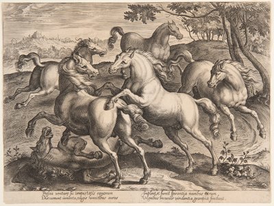 Chevaux combattants, du quatrième ensemble de "Equile Joannis Austriaci" - Jan van der Straet, called Stradanus