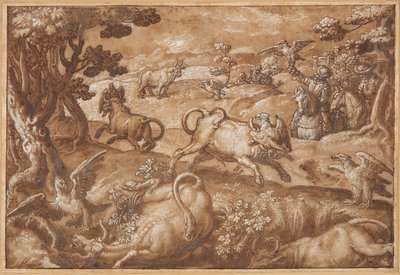 Hommes chassant des taureaux avec des aigles - Jan van der Straet, called Stradanus
