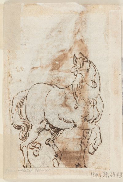 Page d