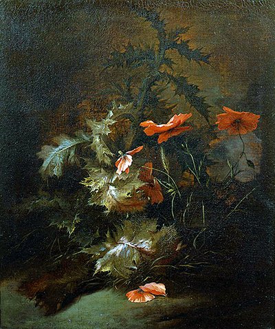 Chardons et coquelicots - Jan van the Elder Kessel