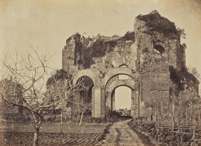 Temple de la Minerve, Rome - Jane Martha St. John
