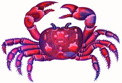 Cancer le crabe - Jane Tattersfield