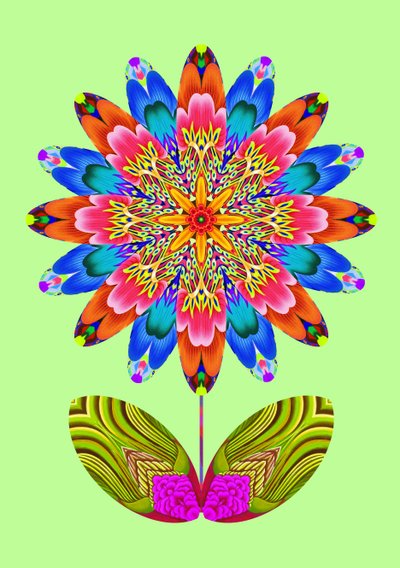 Découpe de fleur sur vert pâle - Jane Tattersfield