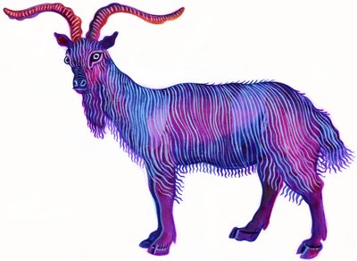 Capricorne - Jane Tattersfield