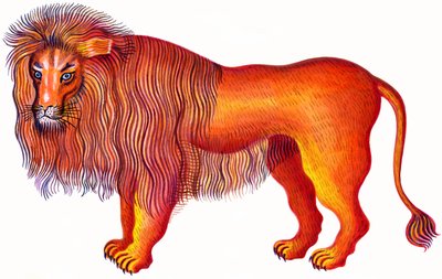 Lion - Jane Tattersfield