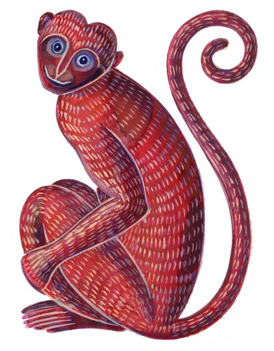 Singe - Jane Tattersfield