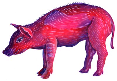 Cochon - Jane Tattersfield