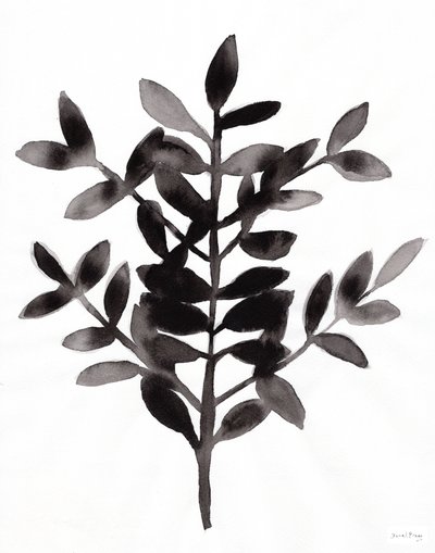 Botanique avec la fougère Nagi III (encre sur papier) - Janel Bragg