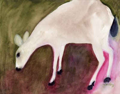 Cerf d