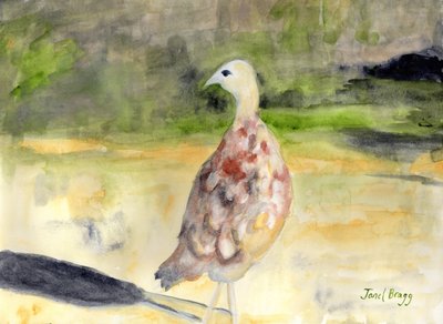 Faisane, c.2016 - Janel Bragg
