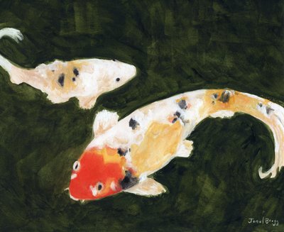 Poissons Koi au Conservatoire des Fleurs à San Francisco, c. 2024 - Janel Bragg